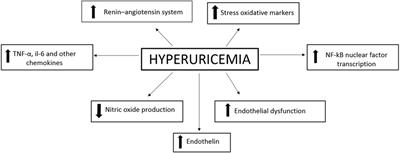 Hypertension in Children: Role of Obesity, Simple Carbohydrates, and Uric Acid